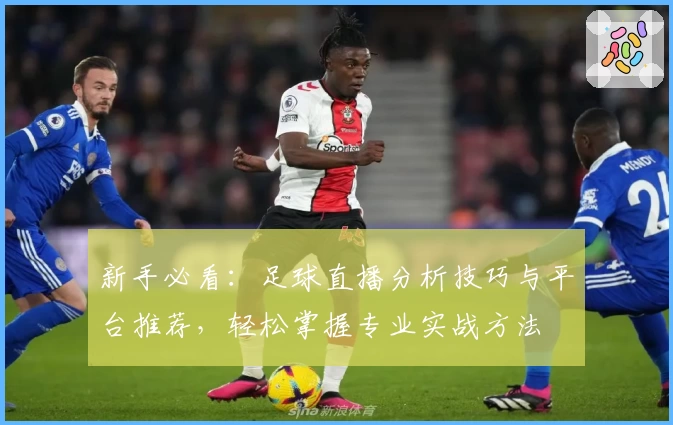 新手必看：足球直播分析技巧与平台推荐，轻松掌握专业实战方法
