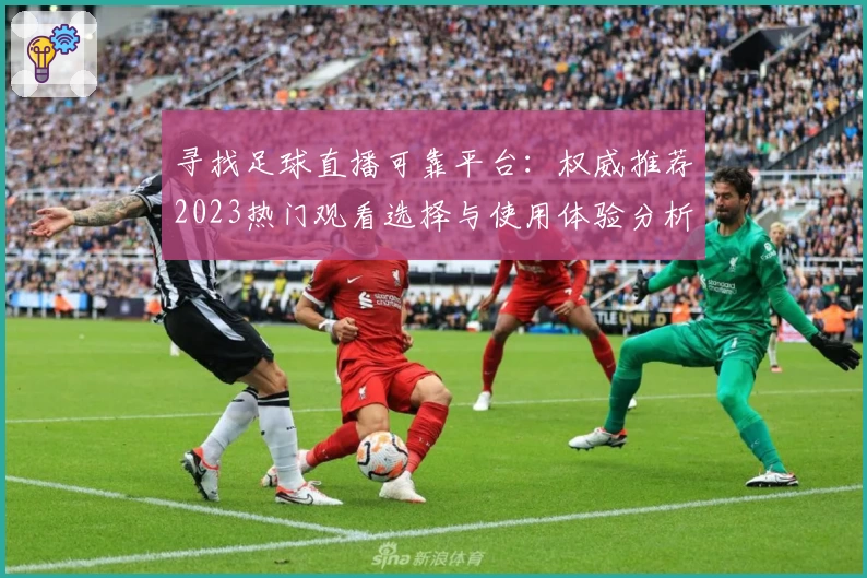 寻找足球直播可靠平台：权威推荐2023热门观看选择与使用体验分析